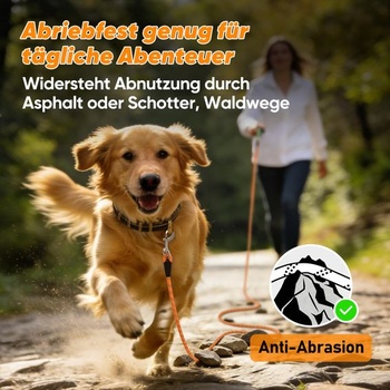 Vodítko pre psa Aystkniet Laisse pour chien