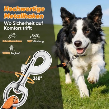 Vodítko pre psa Aystkniet Laisse pour chien