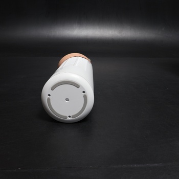 Přenosný ventilátor Levoit LTF-F132-WEU