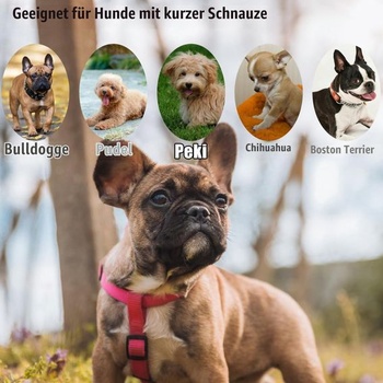 Náhubek pro francouzského buldočka, náhubek pro francouzského buldočka, psí náhubek s krátkým