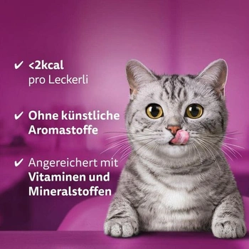 Whiskas Crispy Pockets Cat Snack s kuracou a syrovou príchuťou, 4 balenia, 4 x 180 g – Mačacie maškrty