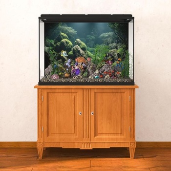 MIRRORANG 61x30cm tropické akvárium plakát pozadí říční říční a jezerní vodní rostlina podvodní