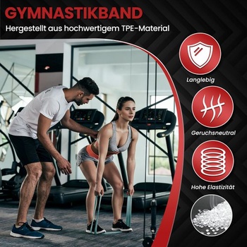 Fitness gumy – sada 4stupňových odporových gum s kotvou do dveří, odporové gumy na shyby, silový