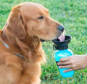 Fľaša na vodu pre psov a mačky s dávkovačom a zdvíhacím dávkovačom, 550 ml, bez BPA