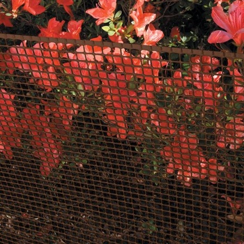 TENAX Quadra 10 hnedá plastová ochranná sieť, 1,00 x 30 m, viacúčelová sieť so štvorcovými okami k