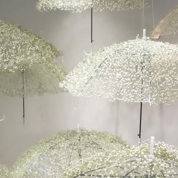 100 sušených bielych ružových kvetiniek Baby's Breath na tvorenie