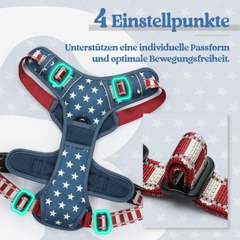 Postroj Rabbitgoo pre stredne veľké psy, proti vytrhávaniu, veľkosť S, Blue Star S Blue Star