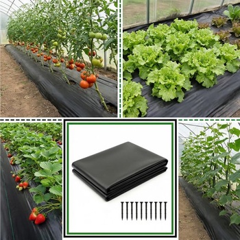 Jazierková fólia 3x3 m, HDPE jazierková fólia s hrúbkou 0,2 mm 3x3m - 0,2 mm