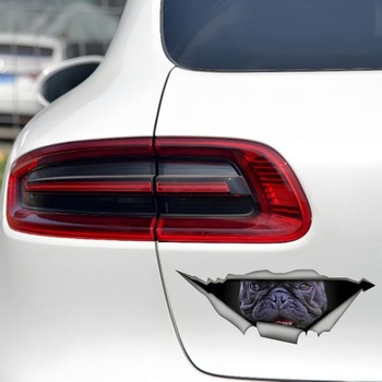 Samolepka na auto s motívom francúzskeho buldočka, 3D potrhaný efekt, reflexná, vodeodolná, na