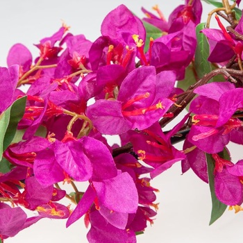 Girlanda Briful DE-BF-ATG