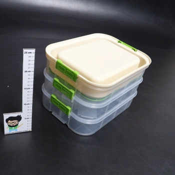 Úložný box Sosisul FGZY098-A