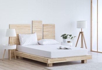 Prestieradlo Todocama z kartáčovaného mikrovlákna, extra mäkké, pre postele 105 x 190/200 cm, biele