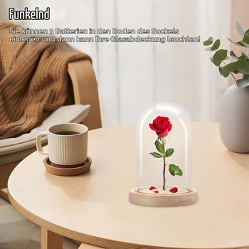 AKOLAFE Skleněný zvonek s dřevěným podstavcem, výška 16 cm, dekorace skleněné kopule, průměr 10 cm,