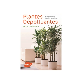 Plantes dépolluantes pour la maison