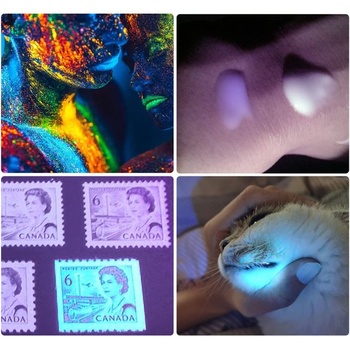 Vreckové LED svietidlá DARKBEAM