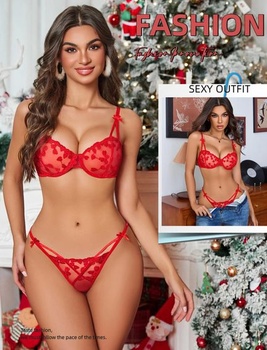 Dámský set spodního prádla Avidlove, sexy síťovaný, 2dílný s kosticemi, podprsenka a kalhotky,