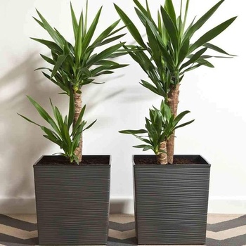Siena Zahradní květináč Biron grafitový plast 25 cm Grafit 25 cm