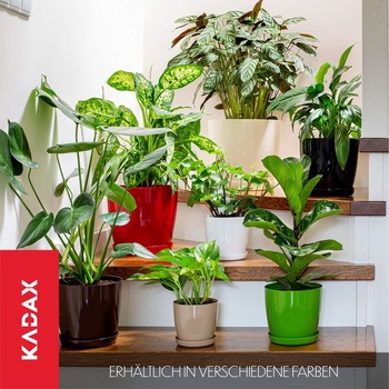 Kvetináč KADAX s tanierikom Ø 12 cm, biely kvetináč pre vnútorné aj vonkajšie použitie, ideálny do