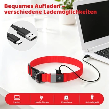 Svítící obojek pro psy, LED obojek pro psy, dobíjecí přes USB-C, voděodolný, červený, velikost S