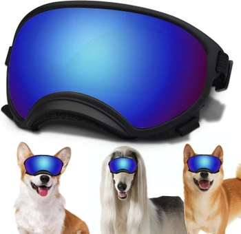 Slnečné okuliare NICERINC PET
