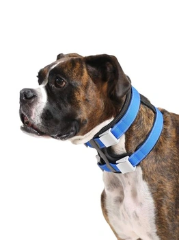 Cesar Millan Pack Leader Collar™ - Obojek pro výcvik psů…