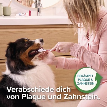 Zubná pasta Beaphar s mätou piepornou a petržlenovou vňaťou, 100 g (1 balenie)