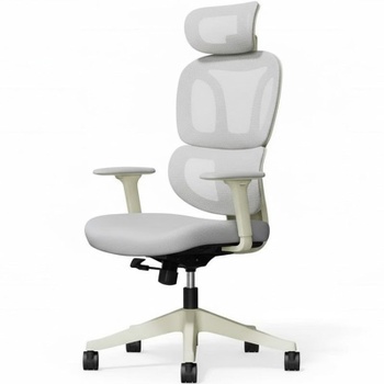 Ergonomická kancelárska stolička BS5, sivá - B