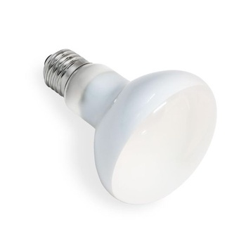 SCNNC 1x Tepelná lampa s motívom plazov, bodové vyhrievanie 75W E27 R80 AC 220V 75,0 Wattov