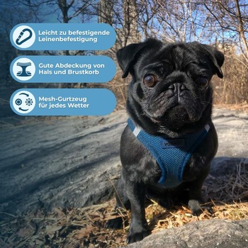 Postroj Voyager Step-In Air pre psov od Best Pet Supplies - sieťovaný postroj Step-In Vest do každého
