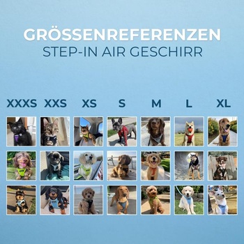 Postroj Voyager Step-In Air pre psov od Best Pet Supplies - sieťovaný postroj Step-In Vest do každého