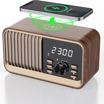 Radiobudík MonoDeal WD700