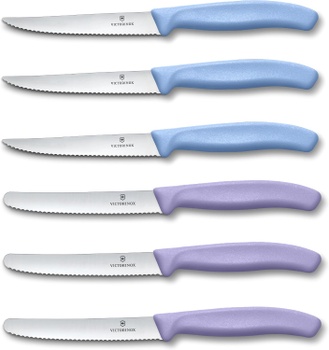 6dielna sada nožov Victorinox