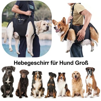 Postroj na prepravku Cartlant hundetragegurt