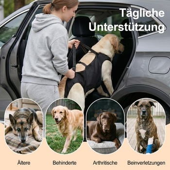Postroj na prepravku Cartlant hundetragegurt