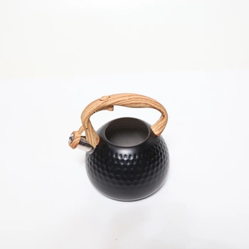 Indukčná kanvica Erwey G04Y04722