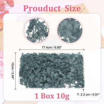 PATIKIL 10G sušené kvetinové dekorácie prírodné pre DIY svadbu, šedá