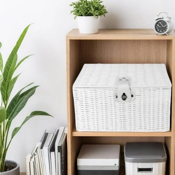 Úložný box Heiyuet HEIYUET-25022620