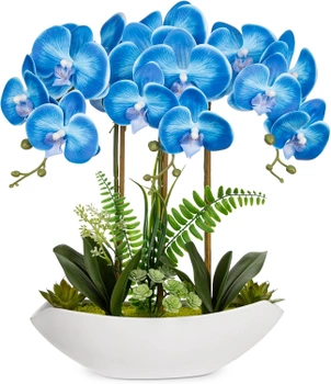 Umelá orchidea Oairse 41cm biela/modrá