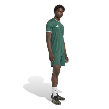 Pánske kraťasy adidas Entrada26 Shorts XXL Team tmavo zelené / biele