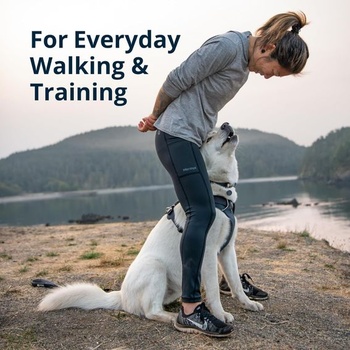 Postroj pre psa Ruffwear 30503-042S2 vel.XXS