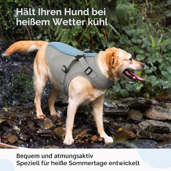 Chladiaca vesta pre psov Hjyokuso, vel.L, šedá