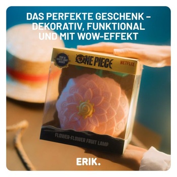 Grupo Erik One Piece Flora Ovocie LED lampa nočné svetlo svetelná dekorácia kvetina