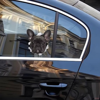 Samolepka na auto s francúzskym buldočkom, vtipná samolepka so psami, reflexná vodeodolná, PVC