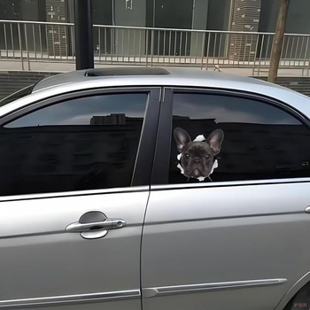 Samolepka na auto s francúzskym buldočkom, vtipná samolepka so psami, reflexná vodeodolná, PVC