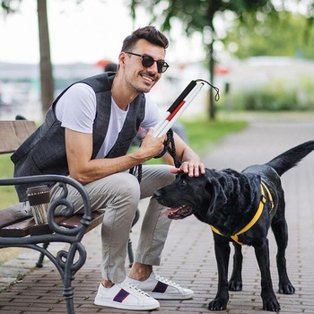 Hůl pro nevidomé, Skládací hliníková hůl, Přenosná hůl, Skládací hole, Nastavitelné hole pro muže a