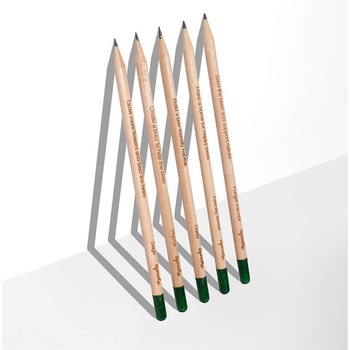 Sprout World Plantable Pencils Happy Bee Edition, balenie 5 kusov do školy