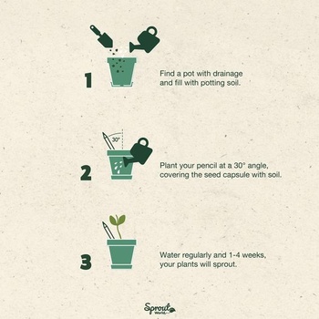 Sprout World Plantable Pencils Happy Bee Edition, balenie 5 kusov do školy