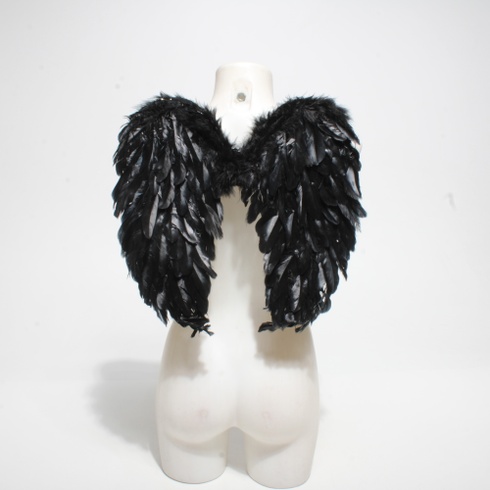 Andělská křídla Winwild černé 45 x 45 cm