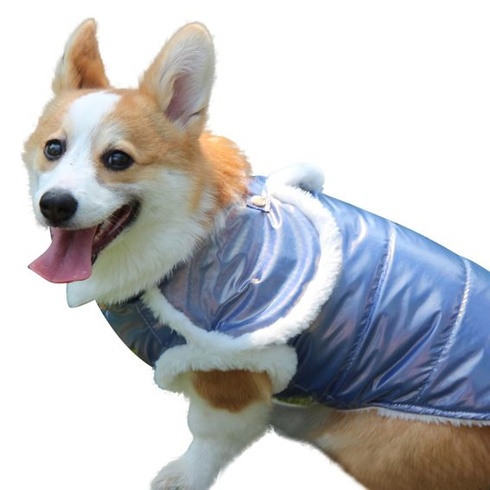 JoyDaog šálový kabát pro psy pro střední psy Fleecová podšívka Teplé bundy pro psy na zimu modrá L