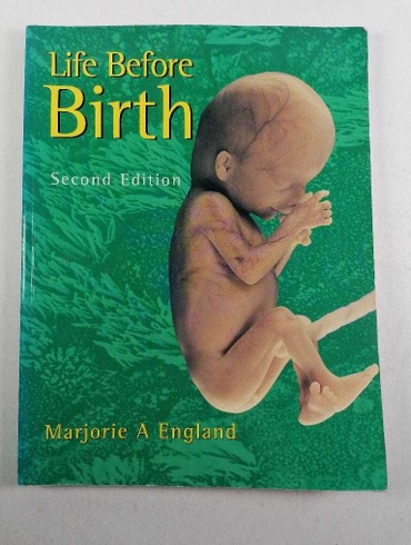 Life before birth